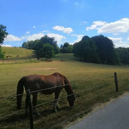 Elegant In Ludenberg Dusseldorf
